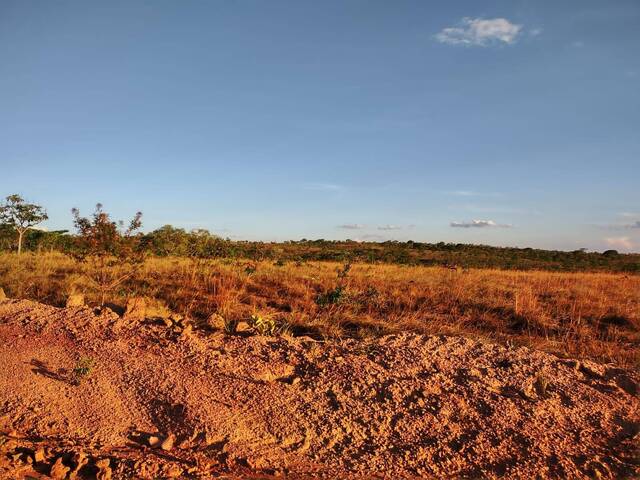 Fazenda para Venda em Arinos - 4