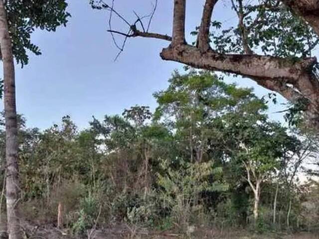 Chácara para Venda em Mimoso de Goiás - 3