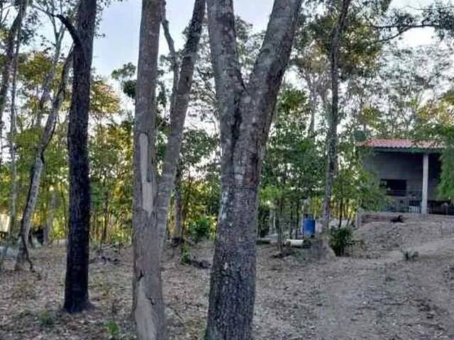 Chácara para Venda em Mimoso de Goiás - 5