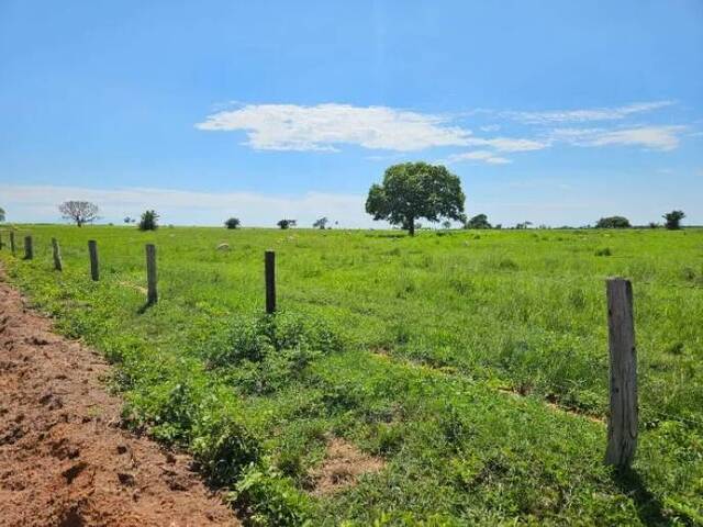 Fazenda para Venda em Mundo Novo - 2