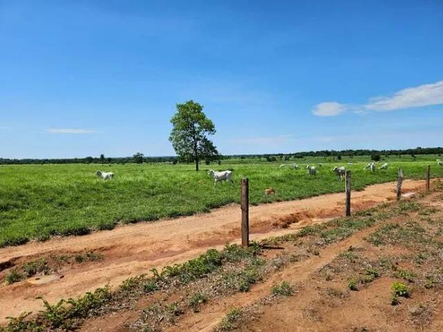 Fazenda para Venda em Mundo Novo - 3