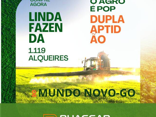#92 - Fazenda para Venda em Mundo Novo - GO