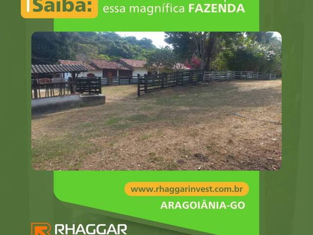 #98 - Fazenda para Venda em Aragoiânia - GO - 1