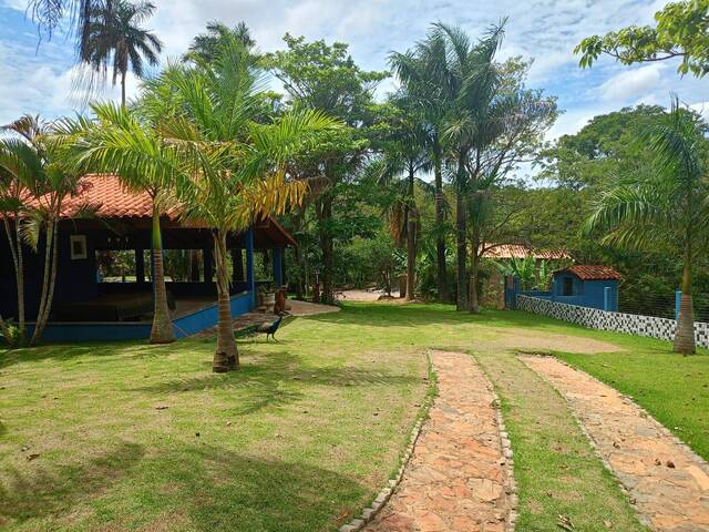 #99 - Fazenda para Venda em Luziânia - GO - 2