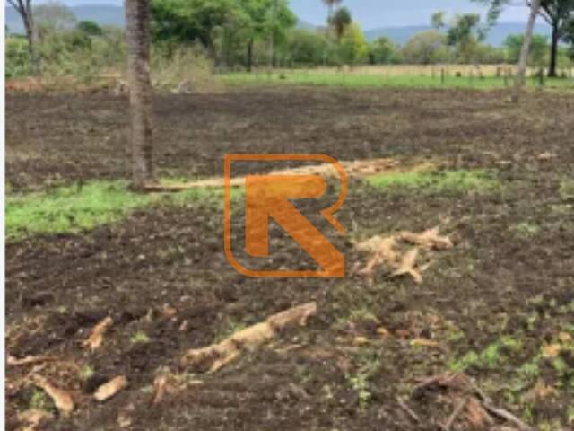 #100 - Fazenda para Venda em Formosa - GO