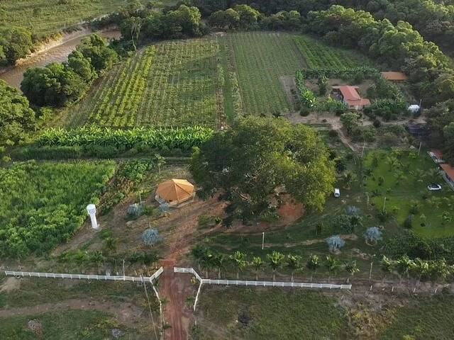 #104 - Sítio para Venda em Buritis - MG