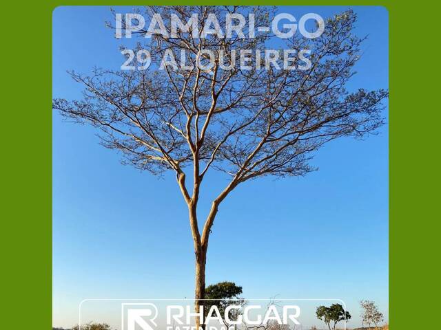 #106 - Fazenda para Venda em Ipameri - GO