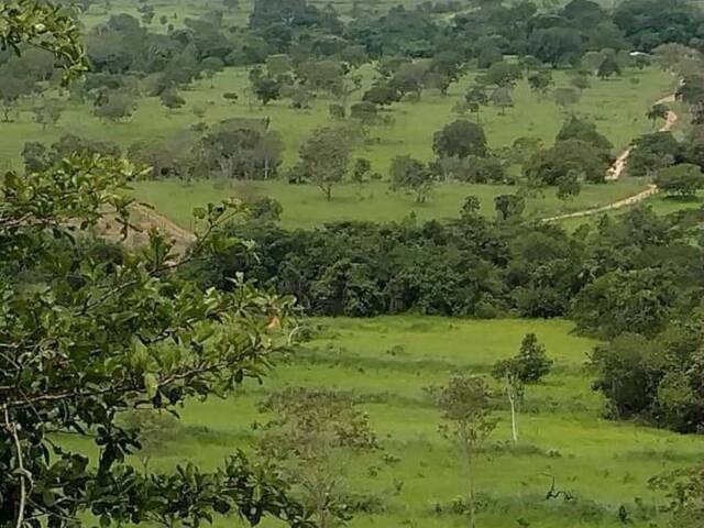 Chácara para Venda em Teresina de Goiás - 2