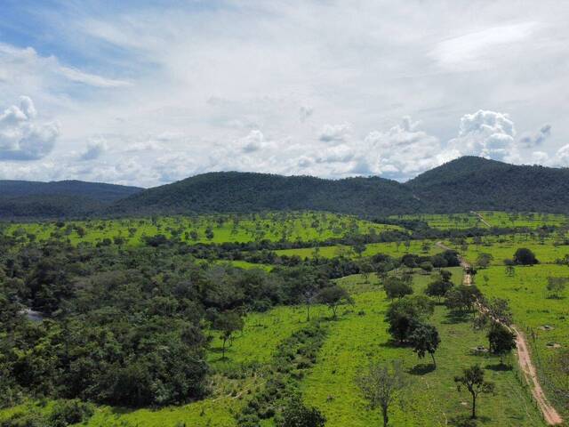 Chácara para Venda em Teresina de Goiás - 4