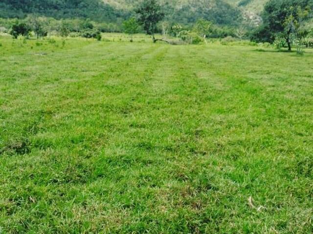 Chácara para Venda em Teresina de Goiás - 5