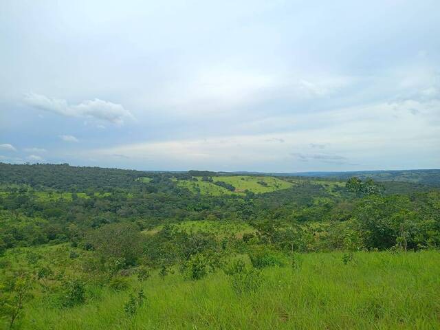 #114 - Fazenda para Venda em Abadiânia - GO