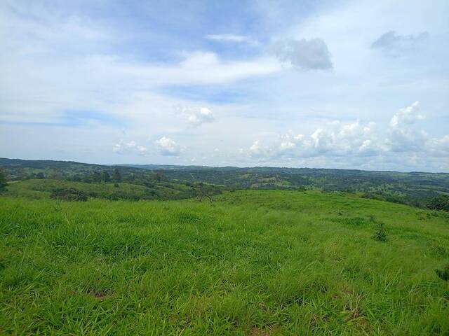 #114 - Fazenda para Venda em Abadiânia - GO - 3