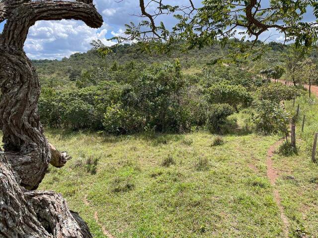 Fazenda para Venda em Luziânia - 5