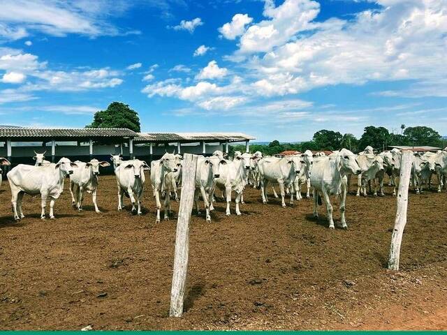#120 - Fazenda para Venda em Formosa - GO