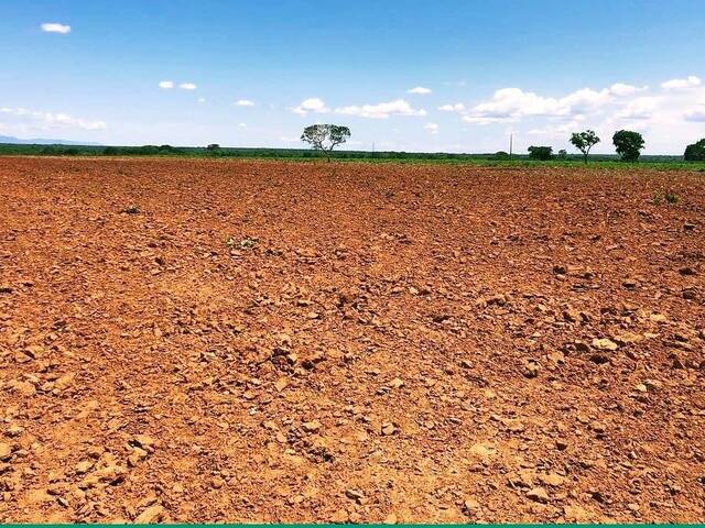 Fazenda para Venda em Formosa - 4