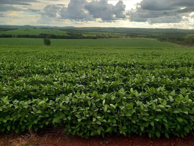 #125 - Fazenda para Venda em Caiapônia - GO - 3