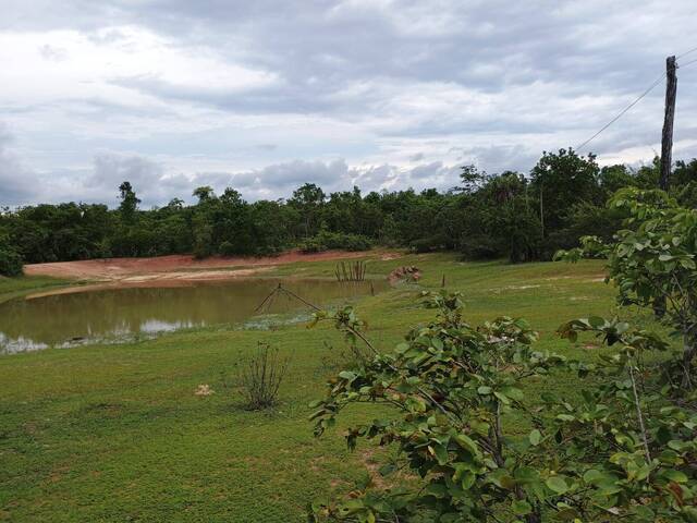 Fazenda para Venda em Paranã - 4