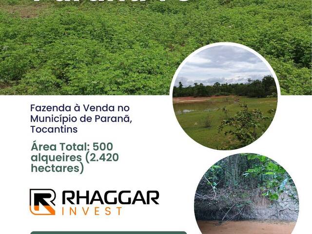 #126 - Fazenda para Venda em Paranã - TO - 1