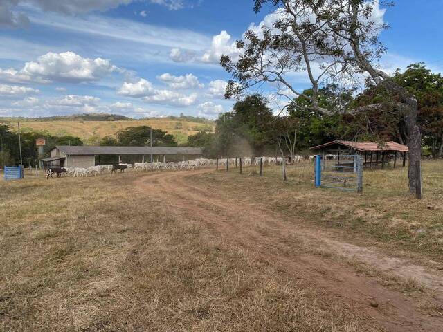 #140 - Fazenda para Venda em Cocalzinho de Goiás - GO - 3