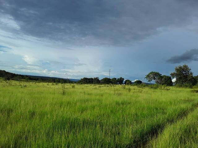 Fazenda para Venda em Alto Paraguai - 5