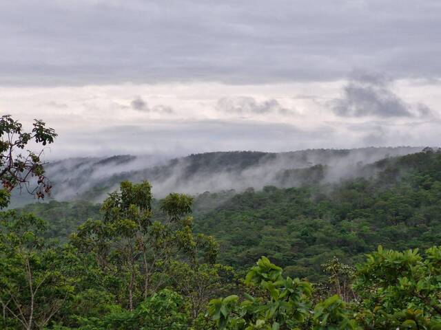 #146 - Chácara para Venda em Orizona - GO - 3